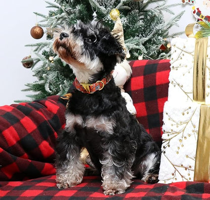 Unique style paws Dog Collar Metal Buckle Collar