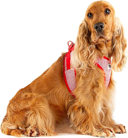 Vest Harness Merino curli Clasp Black L