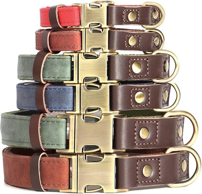 Didog Soft Padded Leather Dog Collars for Small Dogs