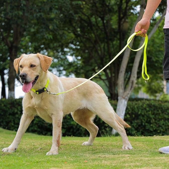 Waterproof Dog Collar 9.5-14.1 inch)