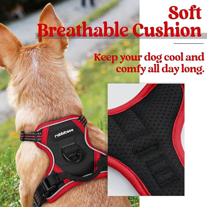 rabbitgoo Dog Harness 2 Leash