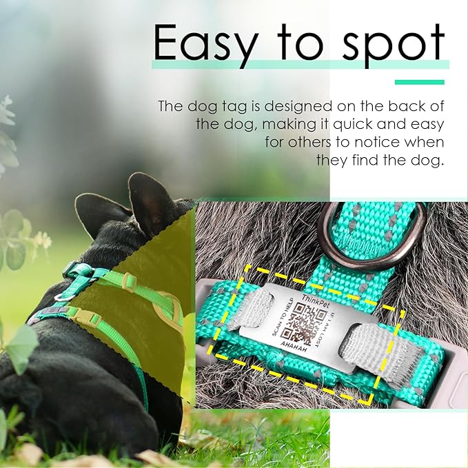 ThinkPet Reflective Breathable Soft Air Mesh with QR Code Dog Tag Puppy Choke Free Over Head Vest Harness for Puppy Small Medium Dogs and Cats Small Teal