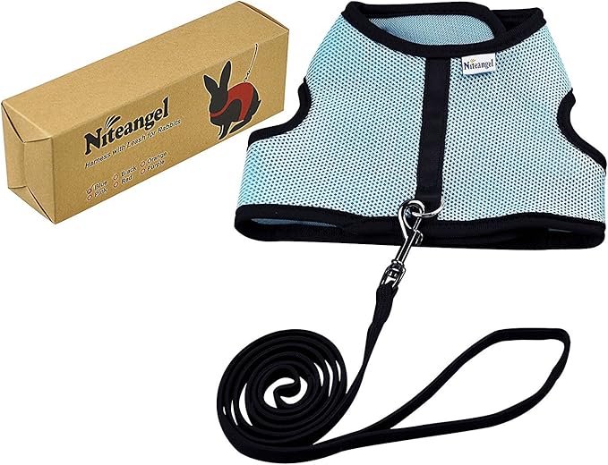 Niteangel Adjustable Soft Harness with Elastic Leash for Rabbits (L, Blue)