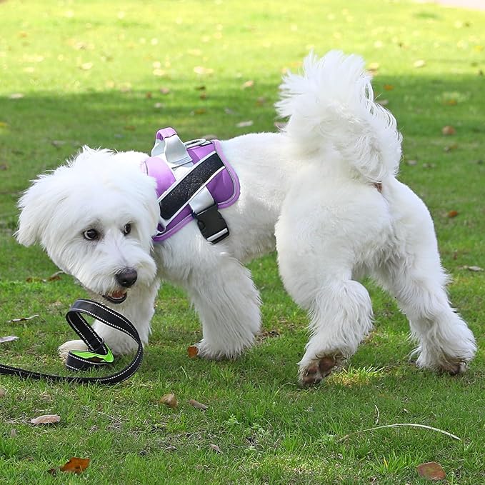 Bolux Dog Harness, No-Pull Reflective Dog Vest, Breathable Adjustable Pet Harness with Handle for Outdoor Walking - No More Pulling, Tugging or Choking (Lavender, Medium (Pack of 1))