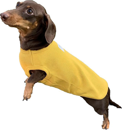 Dachshund Clothes for Dogs Mini and Adults T Shirts (XS