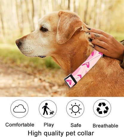 Dog Collar