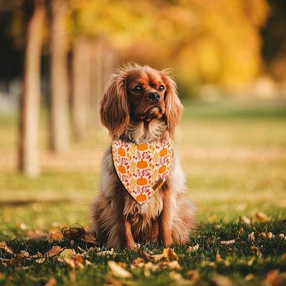 Fall Dog Bandanas 2 Pack
