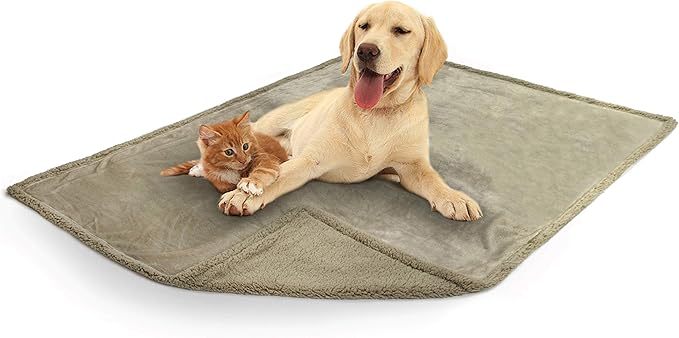 PetAmi WATERPROOF Dog Blanket for Medium Large Dog 60x40 Taupe