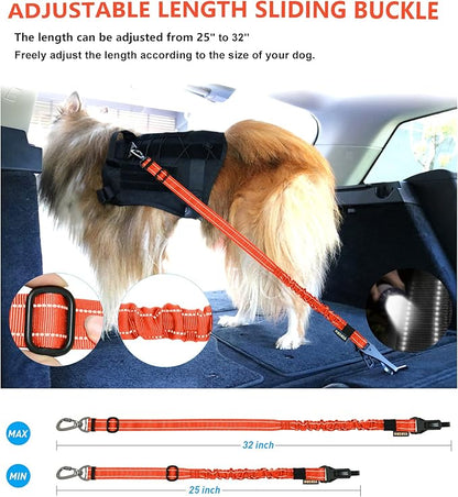 AUBELL Dog Seatbelt, Updated 3-in-1 Pet Car Seat Belt for Dogs, Bungee Dog Car Tether with Clip Hook Latch & Buckle, Heavy Duty Dog Car Harness with Swivel Aluminum Carabiner,Orange