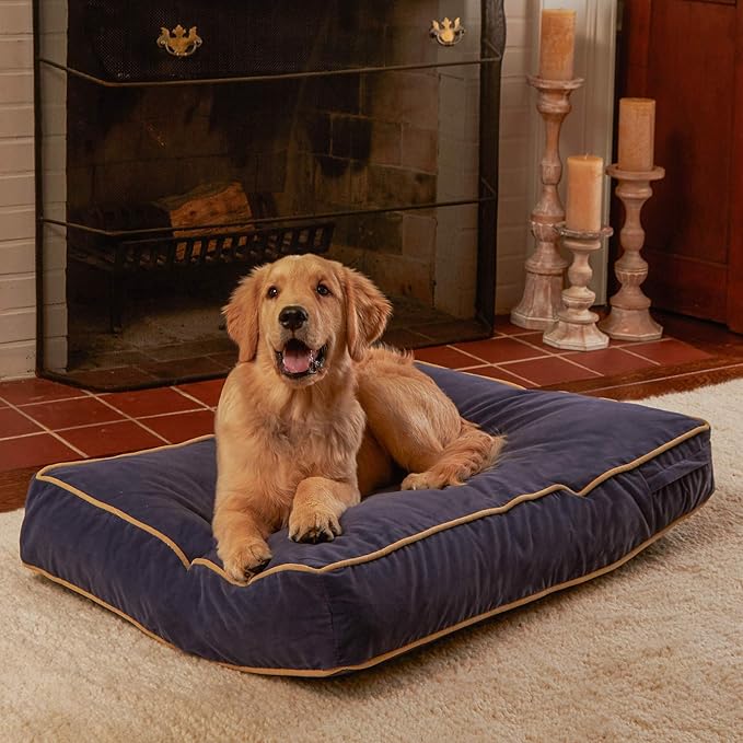 South Pine Porch Buddy Rectangle Pillow Style Dog Bed (24" x 36")
