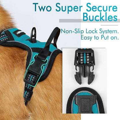 rabbitgoo Dog Harness, No-Pull Pet Harness with 2 Leash Clips, Adjustable Soft Padded Dog Vest, Reflective No-Choke Pet Oxford Vest with Easy Control Handle for Large Dogs, Teal, X-Small