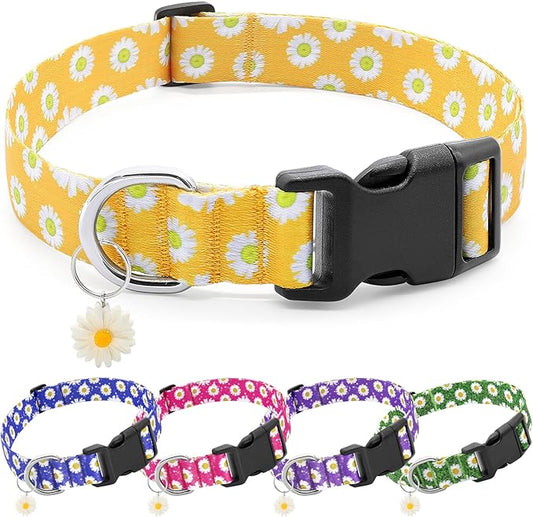 BiPawTi Floral Dog Collars for Large Dog