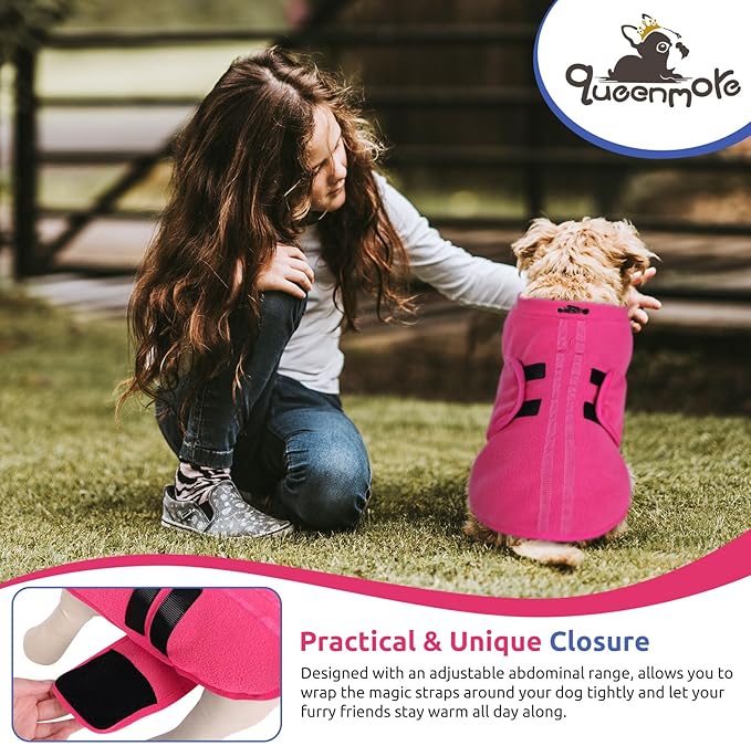 Queenmore Medium Dog Sweater