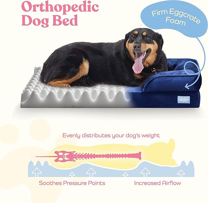 Orthopedic Sofa Dog Bed