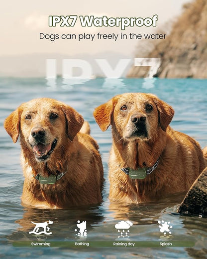 Jugbow Dog Shock Collar 2 Dogs 3300FT Dog IPX7 Waterproof (10-120lbs)