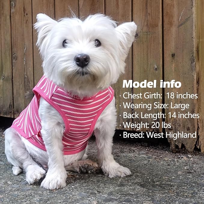 KYEESE 2Pack Dog Shirts Striped for Small Dogs Soft Stretchy Dog T-Shirts Lightweight Dog Tank Top Sleeveless Dog Vest Breathable Cat Shirt