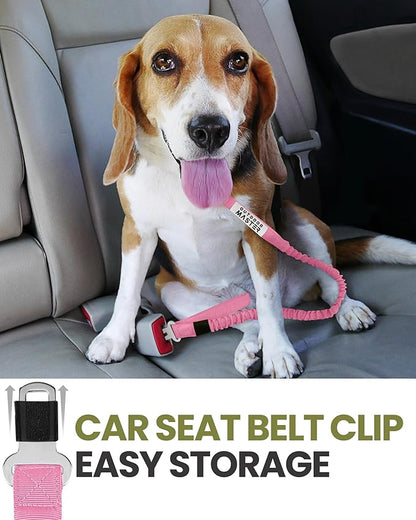 OutdoorMaster Bungee Dog Leash 2 Padded 6 FT