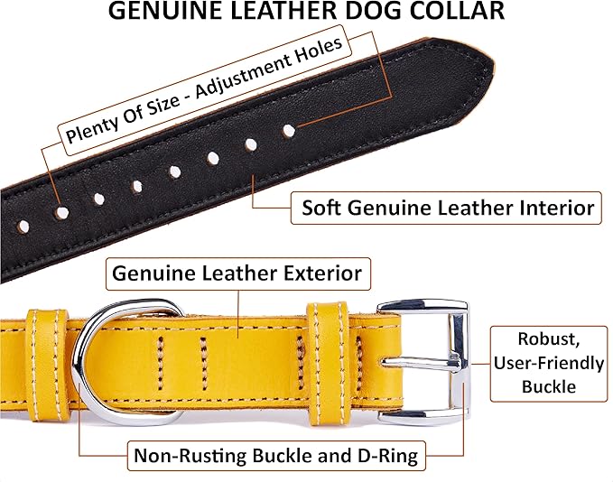 Soft Leather Dog Collar