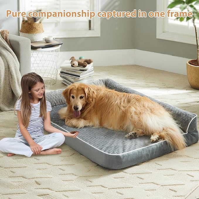Orthopedic Dog Beds for Extra Large Dogs