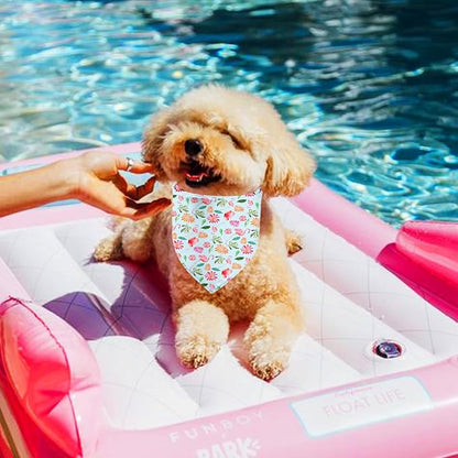 Hawaii Dog Bandanas 2 Pack