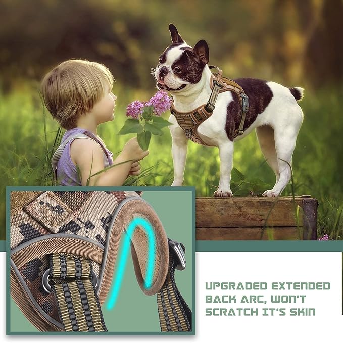 BUMBIN Tactical Dog Harness for Small Dogs No Pull