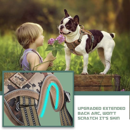 BUMBIN Tactical Dog Harness for Small Dogs No Pull