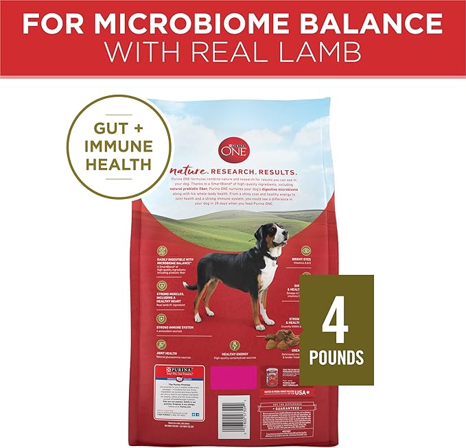 Purina ONE Dry Dog Food Lamb and Rice Formula - (Pack of 4) 4 lb. Bags