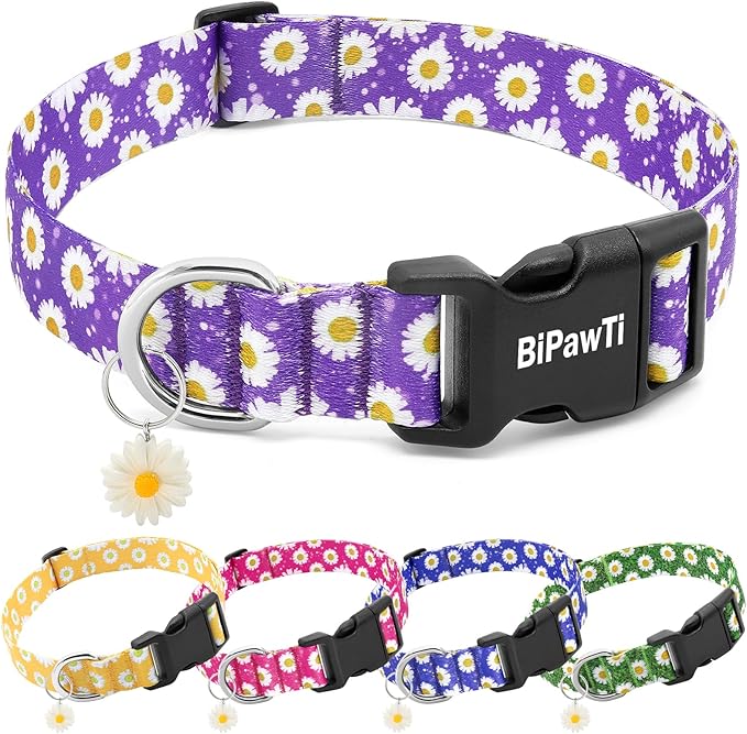 BiPawTi Floral Dog Collars for Large Dog
