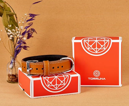 Soft Leather Dog Collar