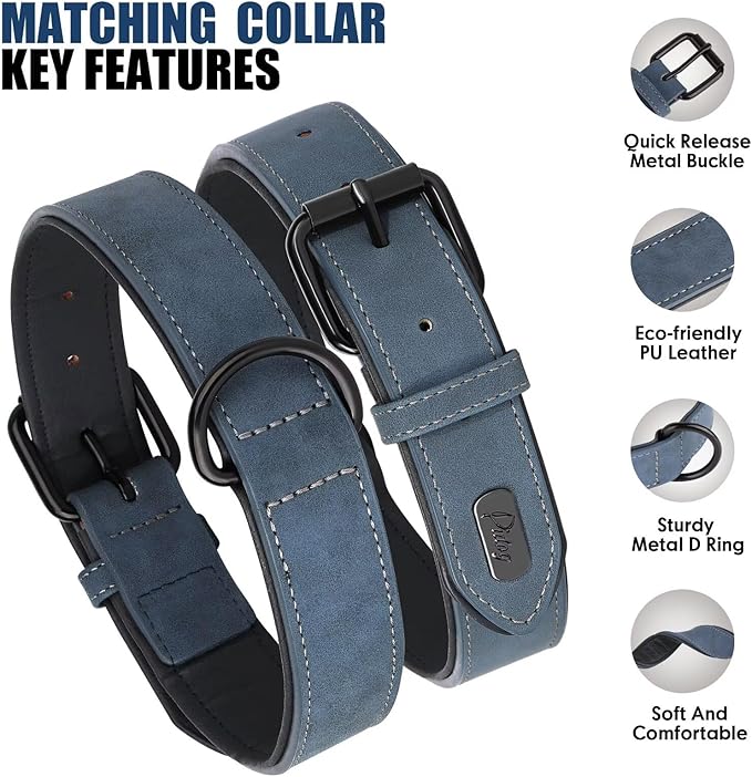 Didog Soft Padded Leather Dog Collar and Leash Set 4FT Leather