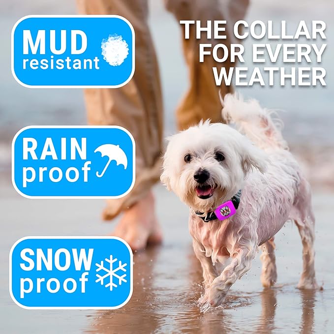 Small Dog Bark Collar Rechargeable 5-15lbs -