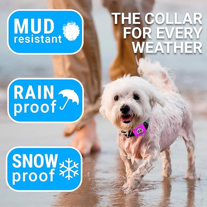 Small Dog Bark Collar Rechargeable 5-15lbs -