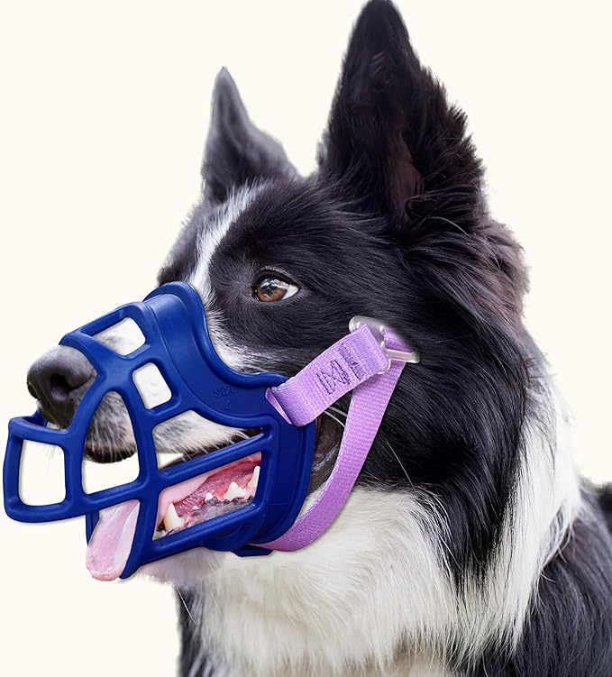 Dog Muzzle Size6)
