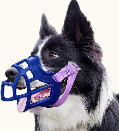 Dog Muzzle Size5)