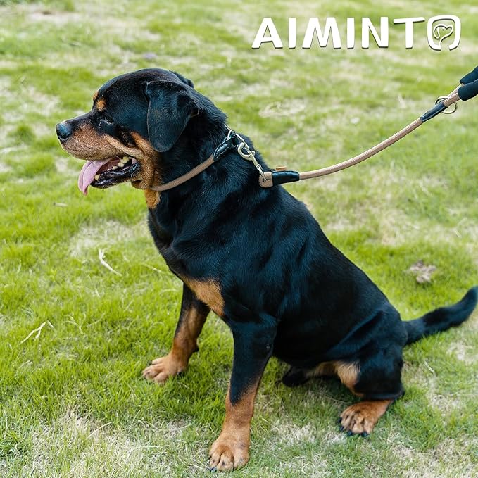 Dog Leash ((1/3") - 6FT, Khaki)