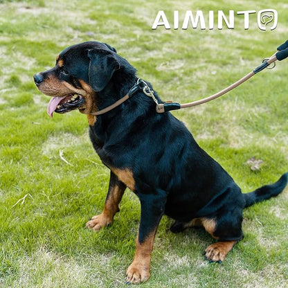 Dog Leash ((1/3") - 6FT, Khaki)