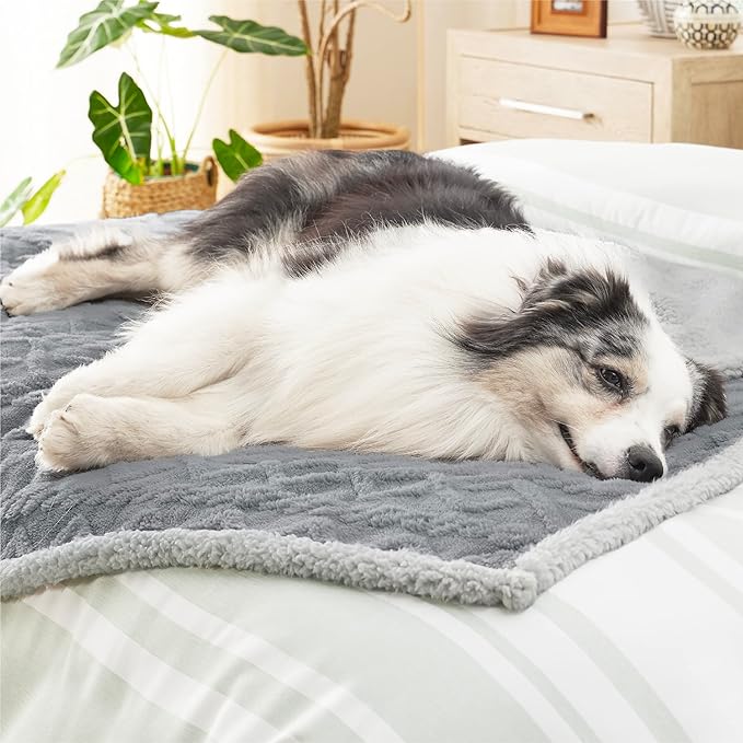Bedsure Waterproof Dog Blankets for Large Dogs 50"x60", Grey