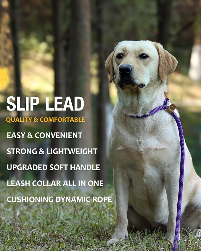 lynxking 8 FT Dog Leash Slip Lead 2