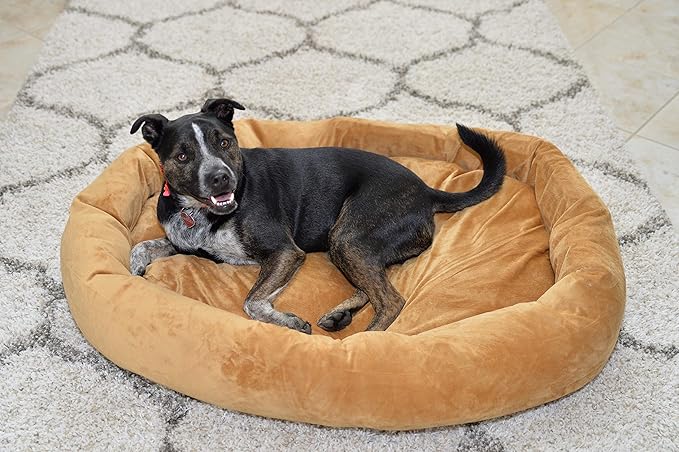 Armarkat Pet Bed 33-Inch by 24-Inch D02CZS-Medium