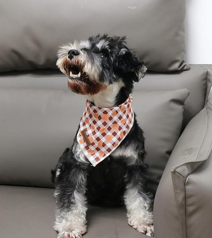 Unique Style Paws Cotton Dog Collar with Bow