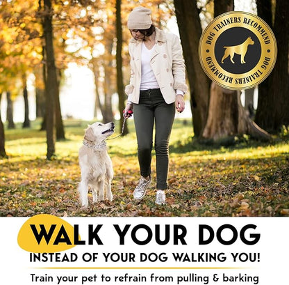 Prong Collar for Dogs