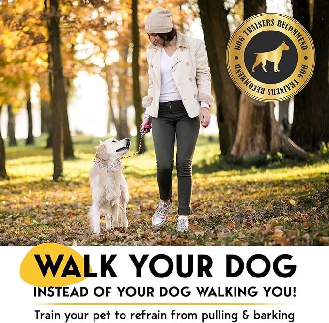 Prong Collar for Dogs