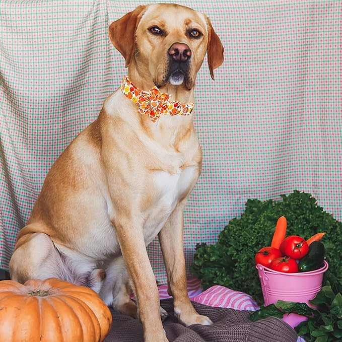 Elegant little tail Dog Collar with Flower