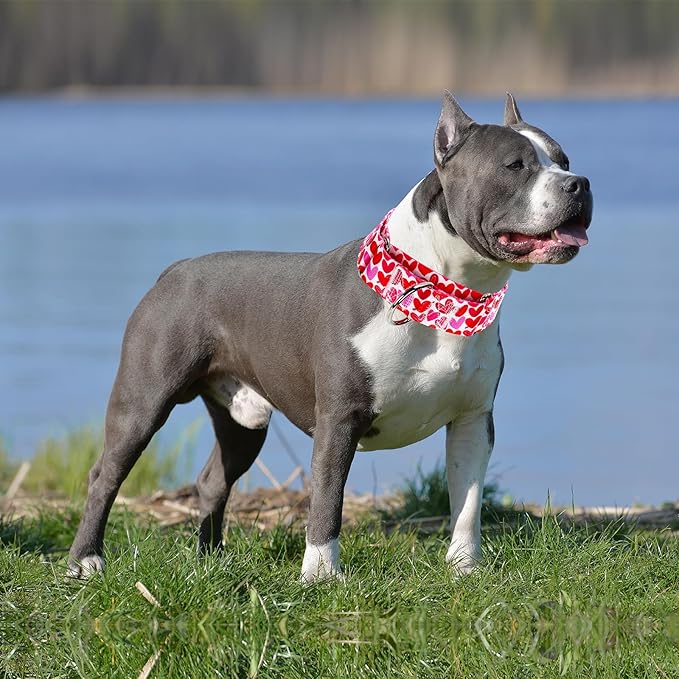 1.5 Inches Wide Martingale Dog Collar for Large Dogs