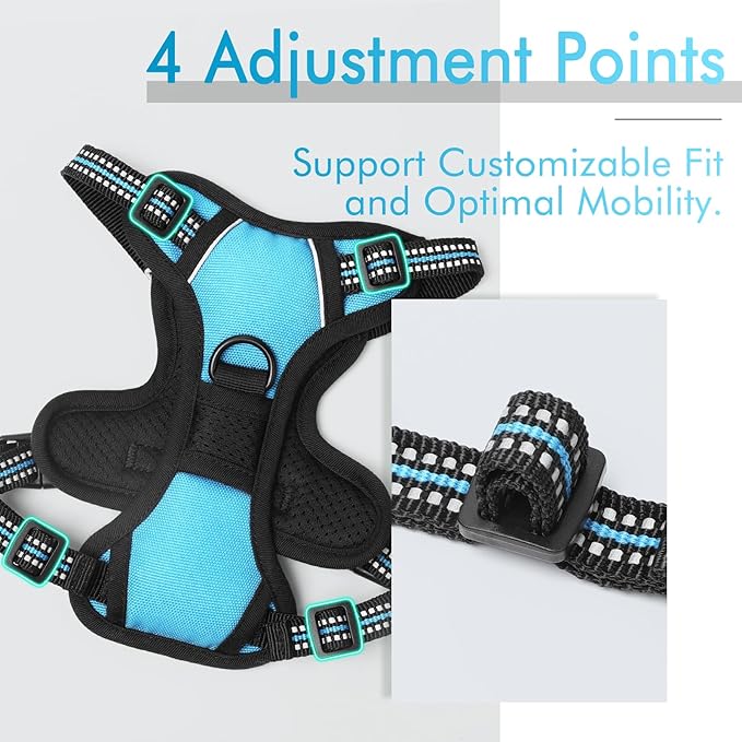 rabbitgoo Dog Harness 2 Leash