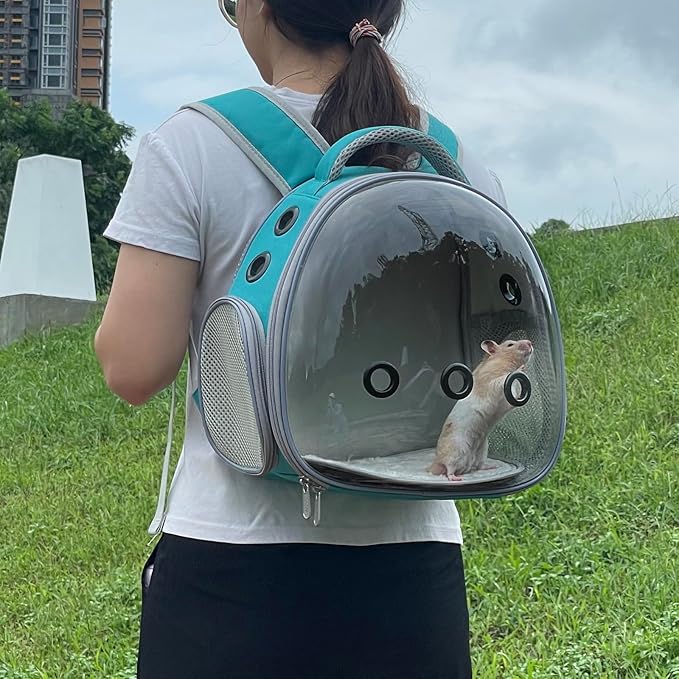 Portable Travel pet Backpack Carrier Hamster Bag Guinea Pig Bird small dog cat Backpack Turtle Carrier Rabbit Cage Rabbit Guinea Pig Squirrel Bearded Dragon Breathable Hangbag(green)