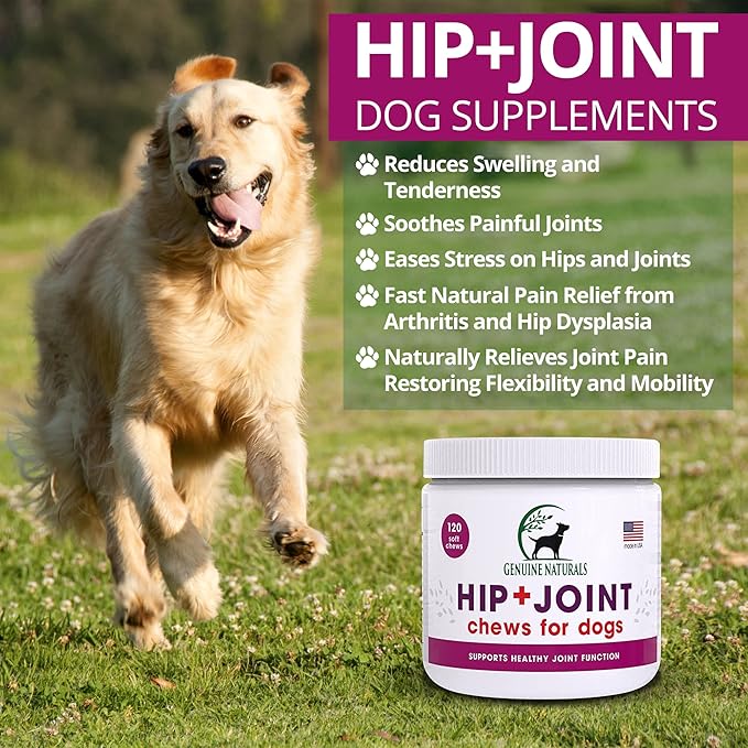 Hip and Joint Supplement for Dogs Relief,120 Count