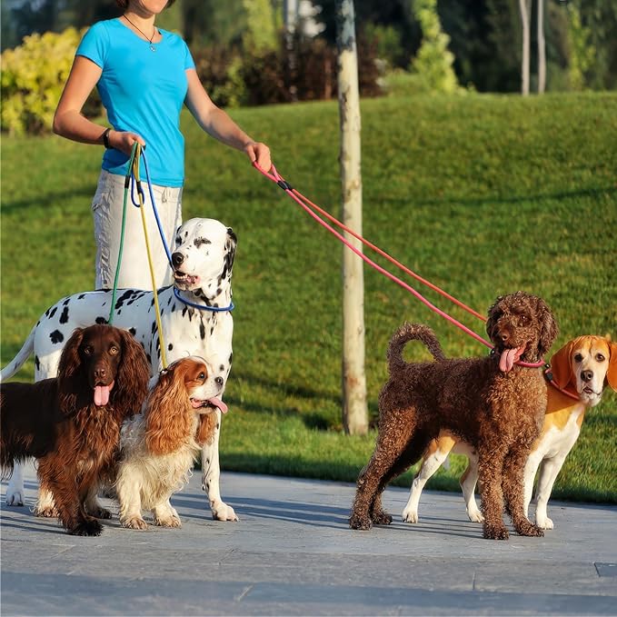 11pcs Slip Lead Dog Leash Dogs（11 Colors）