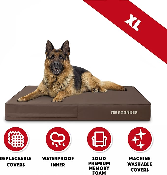 The Dog’s Bed Orthopedic Memory Foam Dog Bed 64x44, Pain