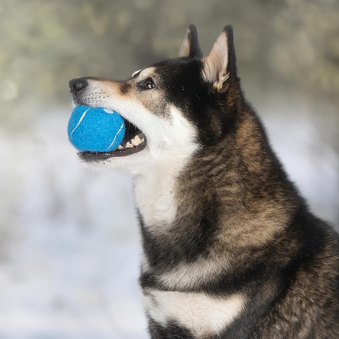 Best Pet Supplies Squeaky Tennis Toys for Dogs, 4-Pack, Heavy-Duty Interactive Pet Toys for Throwing and Fetching, Supports Exercise and Natural Behavior Training, Durable - Large